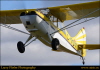 LJF_3674 Hoskin's Fly-in 8Nov2015