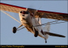 LJF_3979 Hoskin's Fly-in 8Nov2015