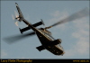 LJF_3998 Hoskin's Fly-in 8Nov2015
