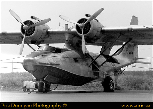 Cat C-GGDW 48287 YYZ a