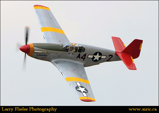 LJF_8640 Brantford Red Tail 2Sept2015