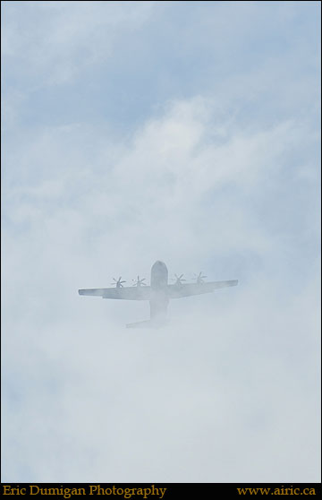 borden2012690184