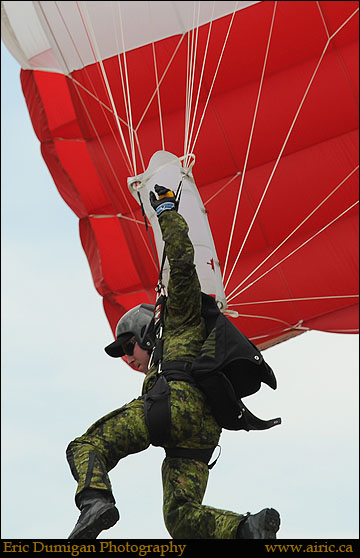 borden2012690211
