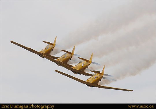 borden2012690322