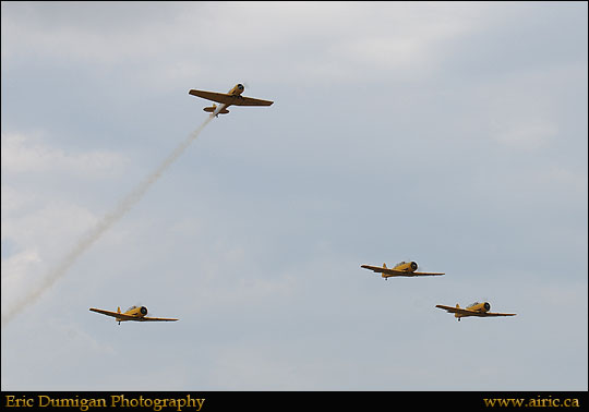 borden2012690330