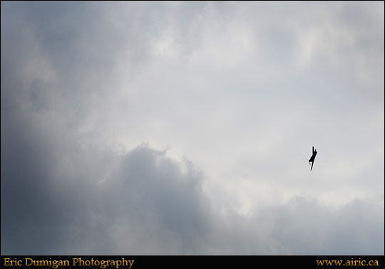 borden2012691322
