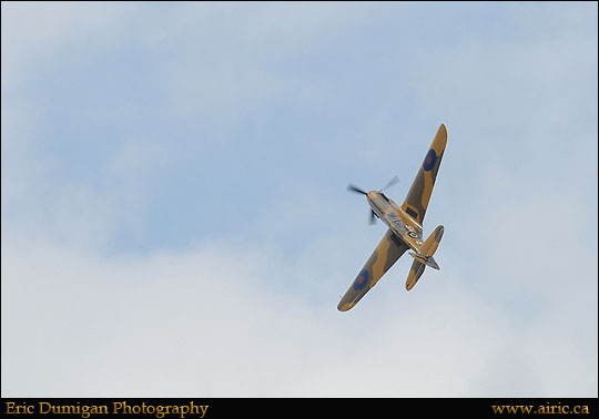 borden2012691364