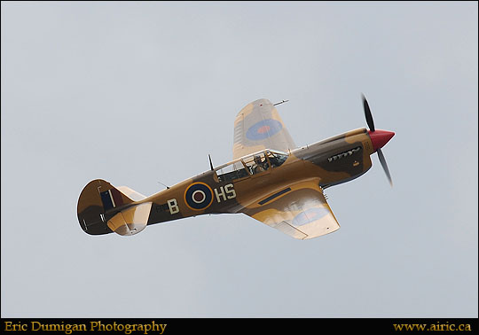 borden2012691374