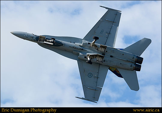 brant20148270814