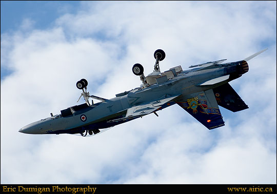 brant20148270817