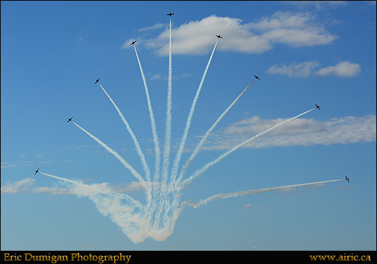 brant20148271408