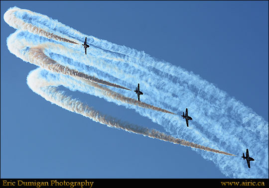 brant20148271443