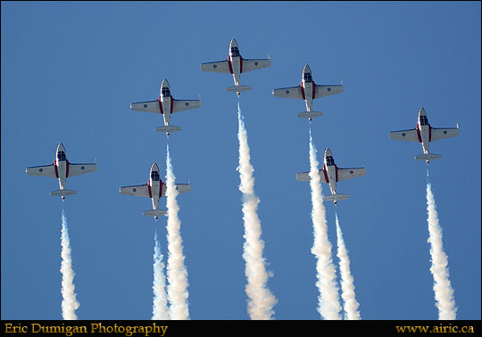 brant20148271616