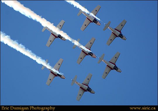 brant20148271654