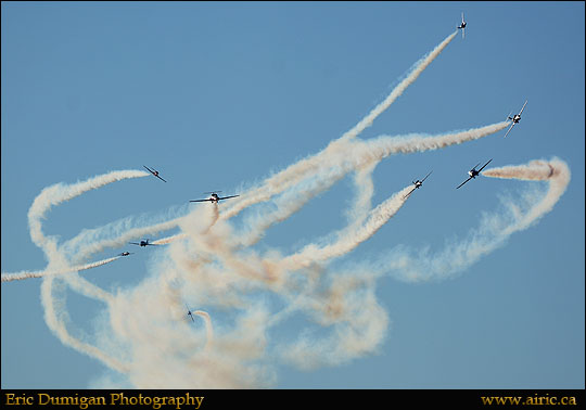 brant20148271745