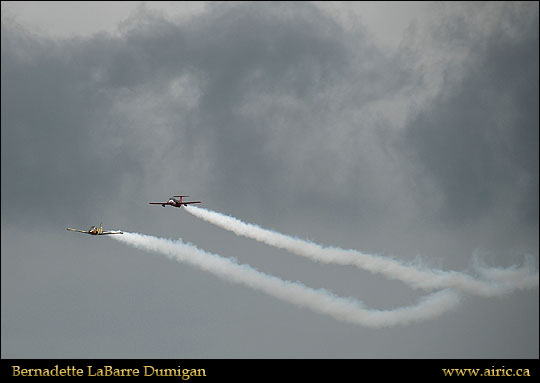 ciasbern20138310082