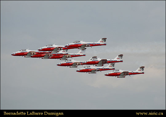 ciasbern20138310173