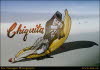 Chiquita