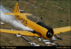 Geneseo 2004 5 037a