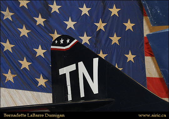 bernvegas201410130049