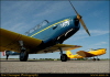 cae050007
