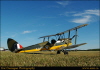 ccaf050019