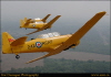 chaa2004660144
