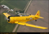 chaa2004660174
