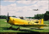 gen20030039