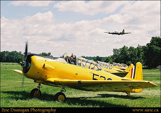 gen20030039