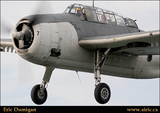gen20097104256