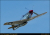 gile20046200038