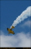 gile20046200100
