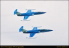 grile20030021