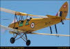 guelph20049180173