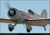 guelph20049180225