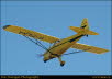 guelph20049180241