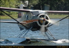 orillia20048210115