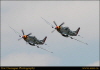 p51 5822