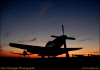 p51 6319