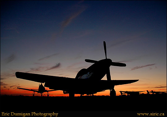 p51 6319