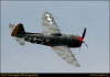 tom050019