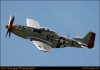 tom050022