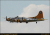 tom050025