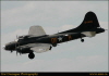 tom050029