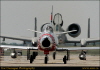 tom050035