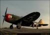 tom050042