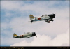 tom2003a0079