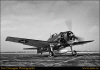 tom2003pof0053b