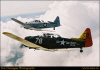 tom2003snake0050